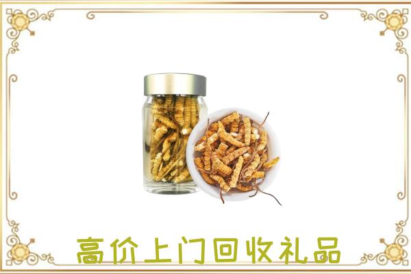 文山周边回收虫草